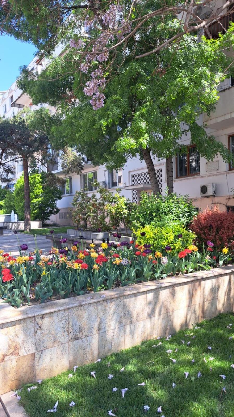 Apartament Kitty Centrul Istoric Craiova Exterior foto